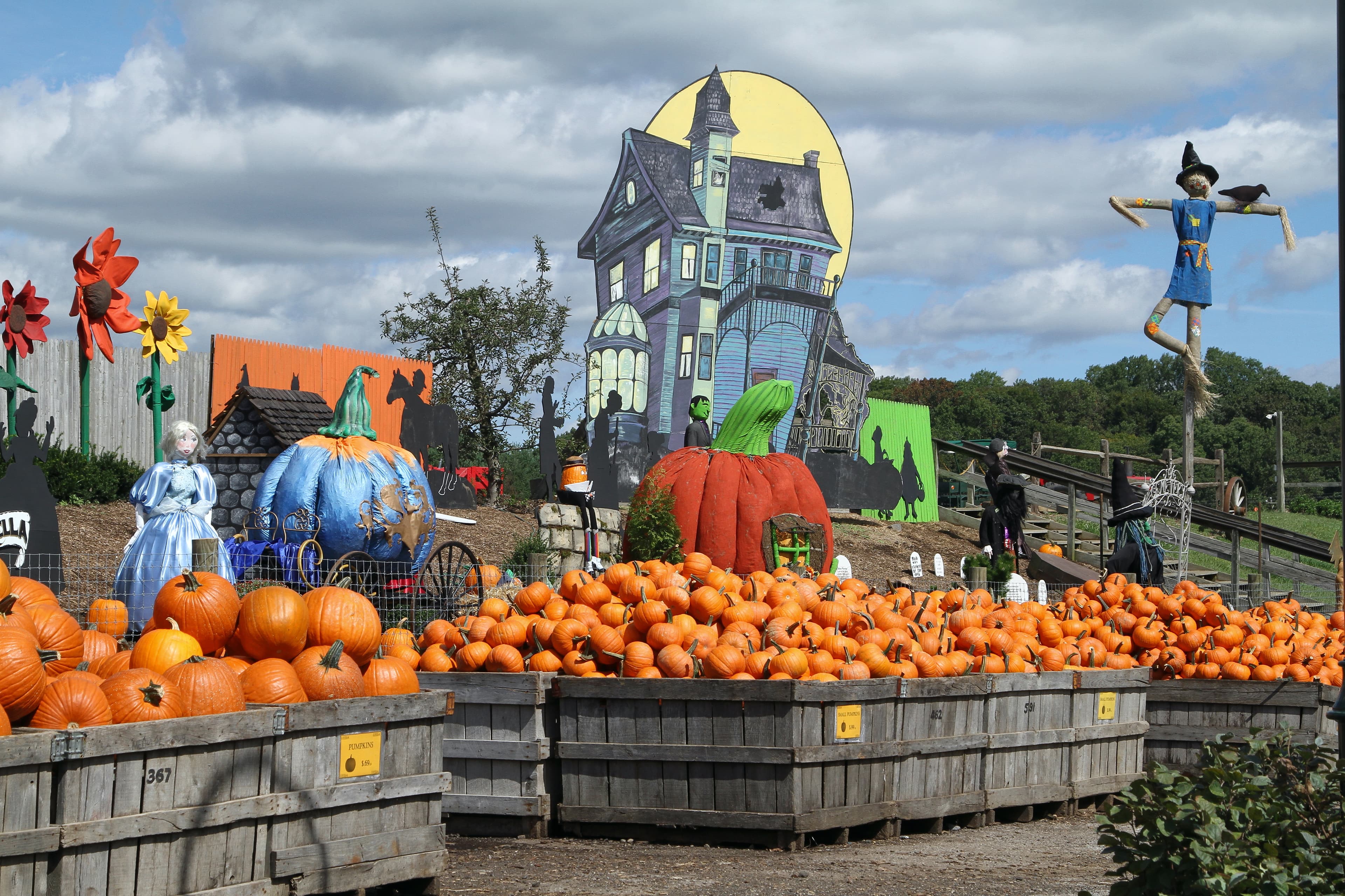 Linvilla Orchards, Media PA